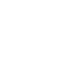 lqIcon